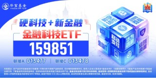 金融科技20CM涨停潮！炒股软件暴涨，同花顺创历史新高，金融科技ETF（159851）放量暴涨近8%！