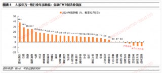 平安证券2025年A股市场展望：定价风险的缓释