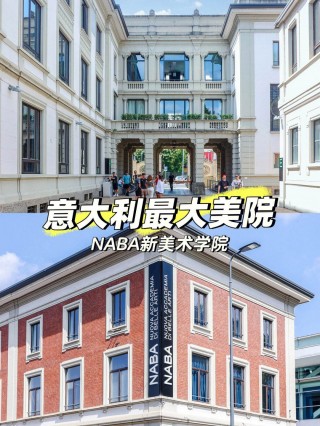 意大利佛罗伦萨美术学院(意大利佛罗伦萨美术学院排名)