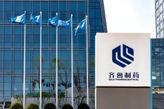 山东鲁能集团(山东鲁能集团董事长)