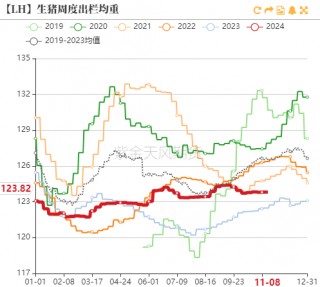 生猪：如何看待11月下半月行情？
