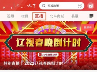 辽宁卫视直播回看(辽宁卫视直播回看节目)