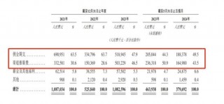 “抢公章”闹剧背后的“保险中介”冲刺IPO，红杉分享资本盛宴！