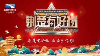 湖北卫视在线直播回放(湖北卫视在线直播回放节目)