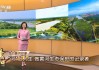 河南电视台直播在线观看高清直播(河南电视台直播在线观看高清直播治疗脚疼嗷嗷叫)