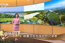 河南电视台直播在线观看高清直播(河南电视台直播在线观看高清直播治疗脚疼嗷嗷叫)