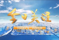 珠江频道直播在线观看(珠江频道直播在线观看免费)