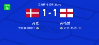 法国vs丹麦比分(法国vs丹麦比分结果)
