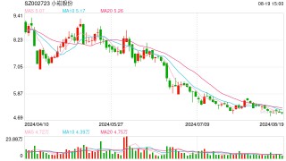超1亿元拍下股份，拒付尾款！买家1014万保证金“打水漂”，小崧股份回应
