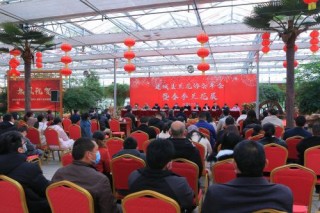 金融助兰花产业发展(金融助力产业转型升级)