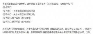 乒乓球团体赛比赛规则(乒乓球团体赛比赛规则百度百科)