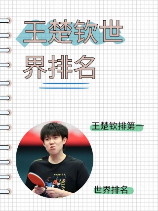 世界女子乒乓球最新排名(世界女子乒乓球最新排名表)