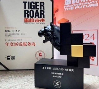 龙腾虎跃！龙年2024，粉跃LEAP斩获虎啸奖年度新锐服务商奖