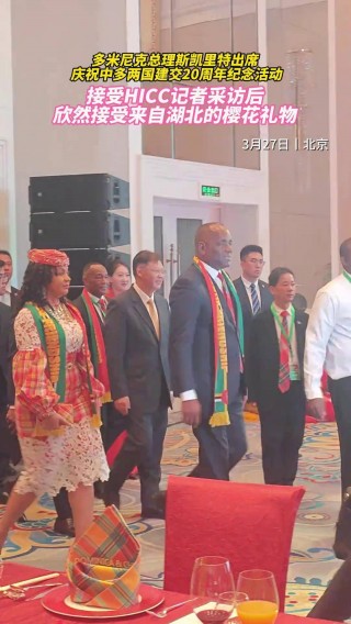 多米尼克(多米尼克威尔金斯)