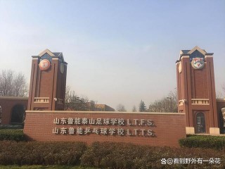 山东鲁能集团(山东鲁能集团简介)
