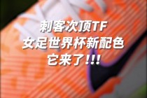 nike女足欧洲杯(唯一一个让美军跪下的国家)