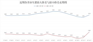 每日猪讯8.12