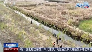 中央13频道直播(中央13频道直播观看今日)