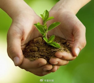 2024中国环境企业营收TOP50发布：光大连续6年稳居之一