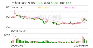 突发！一晚上3家A股公司 被 *** 立案！