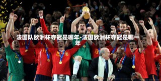 2016年欧洲杯法国对德国(2016年欧洲杯法国队)