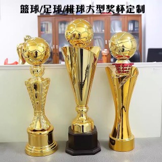 世界各种足球奖杯大全(世界各种足球奖杯大全及图片)