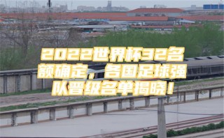 无缘2022世界杯的强队(可能无缘2022世界杯强队)