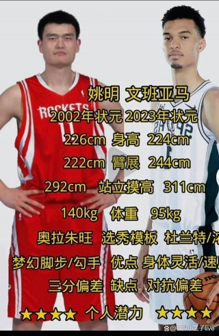 nba盖帽榜历史排名(nba历史盖帽排行榜百科)