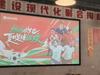 欧洲杯高清直播(欧洲杯高清直播 fzssdr)