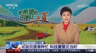 cctv13在线直播观看(cctv13在线直播观看高清版免费下载安装)