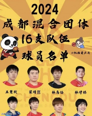乒乓球直播网(乒乓球直播网站)