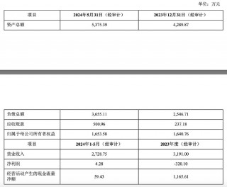 再次挂牌！琏升科技拟1684万元 *** 全资子公司股权及商标，多年净利亏损