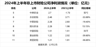 非上市财产险公司年中成绩单：头部公司盈利一枝独秀 行业净利润普遍下降