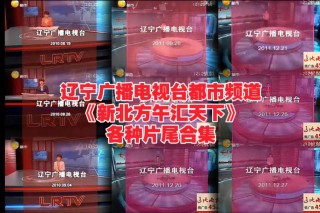 辽宁电视台官网(辽宁电视台官网 *** 信息)