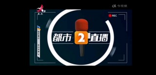 都市频道在线直播观看(都市频道在线直播观看记录)