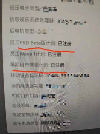 何小鹏亲赴美国体验特斯拉 FSD 智驾功能，马斯克回应：中国车企更具竞争力