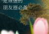 2008年欧洲杯文案(2008年欧洲杯主题曲视频)
