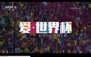 2018世界杯回放完整版央视的简单介绍