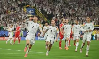 法国瑞士欧洲杯(法国瑞士欧洲杯2021)