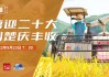 中国 *** 电视台直播在线观看(cntv中国 *** 电视台直播在线观看)