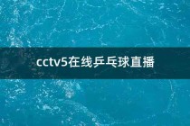 cctv5+直播观看入口(cctv5+观看正在直播直播)
