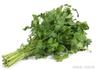 中盟塑胶原料有限公司(中盟塑胶原料有限公司怎么样)