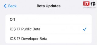 苹果 iOS/iPadOS 18.2 开发者预览版 Beta 3 发布