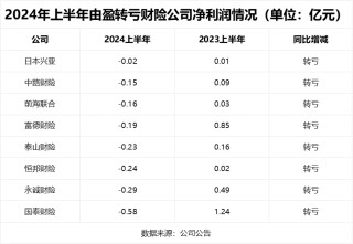 非上市财产险公司年中成绩单：头部公司盈利一枝独秀 行业净利润普遍下降