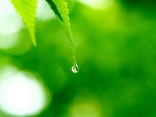 360直播绿色(360直播绿色足球)
