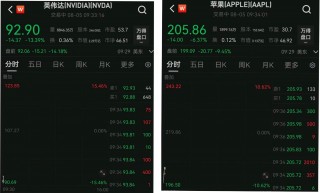 多只美股科技股开盘下挫！英伟达跌超15%，AI“泡沫”破裂了吗？