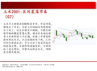中天期货:白糖持续震荡 橡胶持续横盘