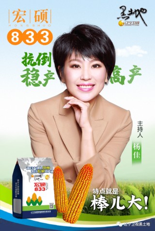 辽宁卫视直播(北斗融媒辽宁卫视直播)