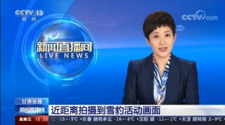 cctv6在线直播(cctv6在线直播观看正在直播高清)