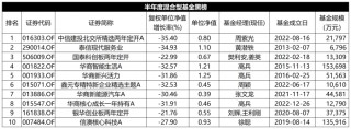 上半年混基红黑榜：宏利王鹏“又行了” 成长板块跌幅较大